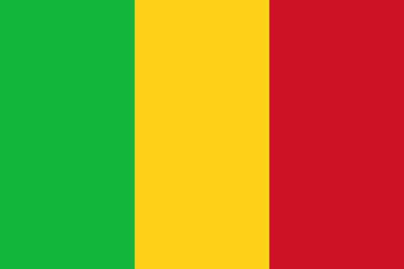 Mali National Flag - Sewn image 0