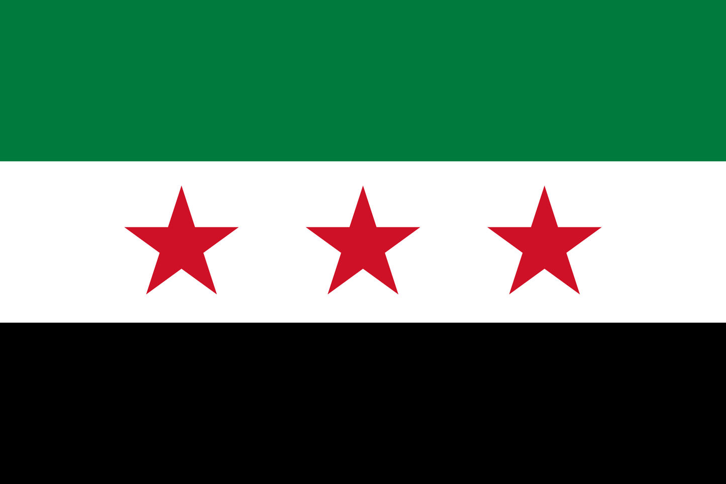 Syria National Flag - Sewn image 0