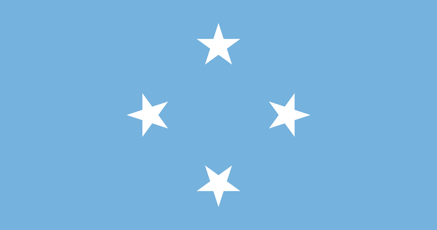 Micronesia National Flag - Sewn image 0