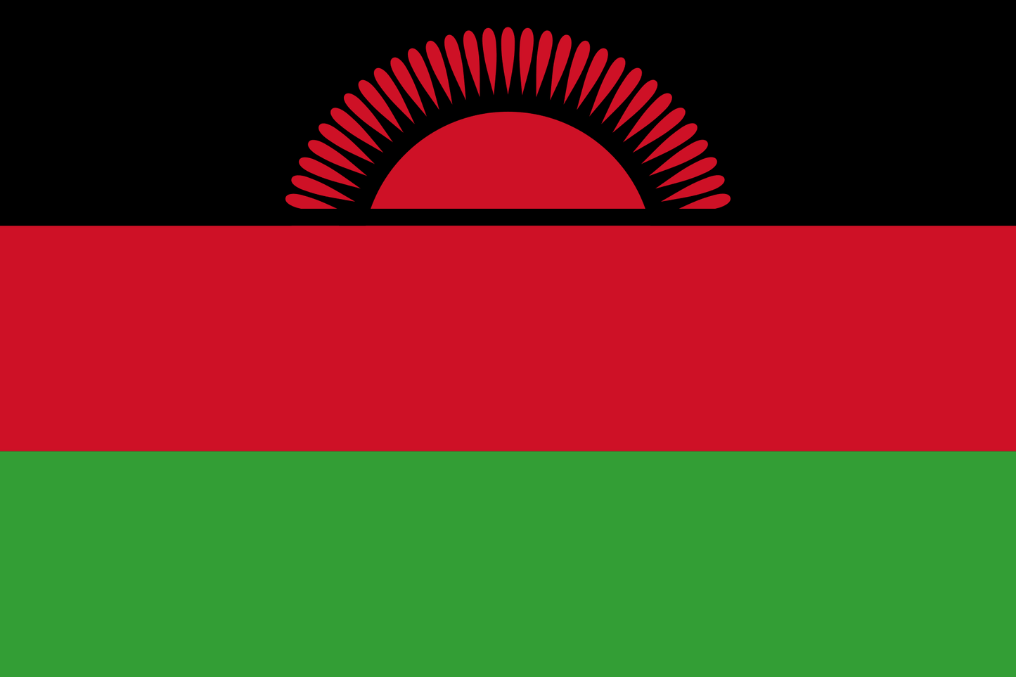 Malawi National Flag - Sewn image 0
