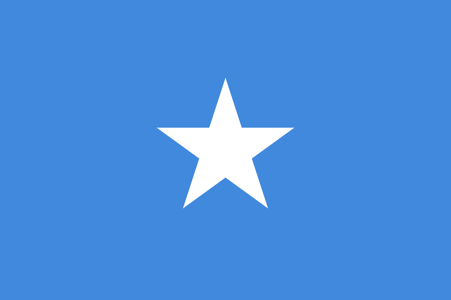 Somalia National Flag - Sewn image 0