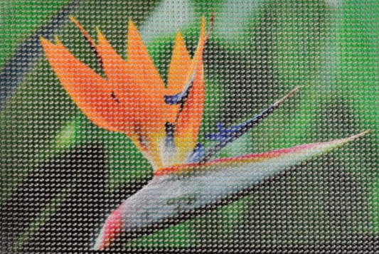 PVC Mesh Banner image 1