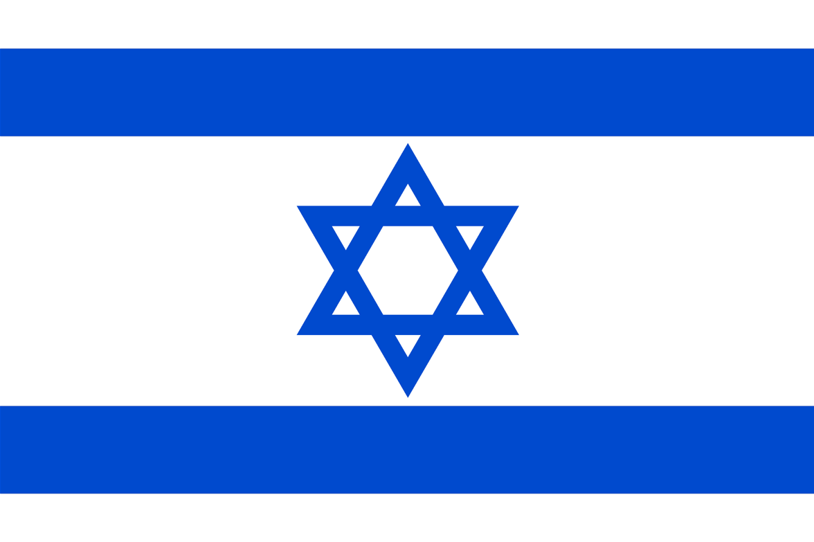 Israel National Flag - Sewn image 0