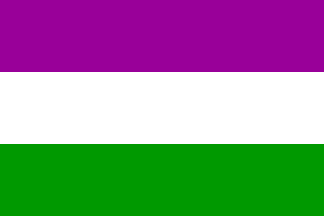 Suffragette Flag - Sewn image 0
