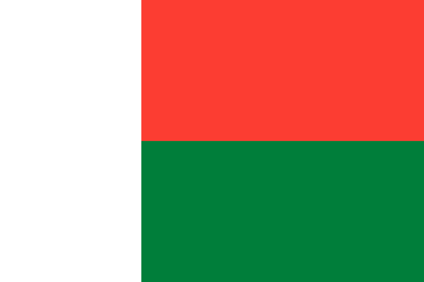 Madagascar National Flag - Sewn image 0