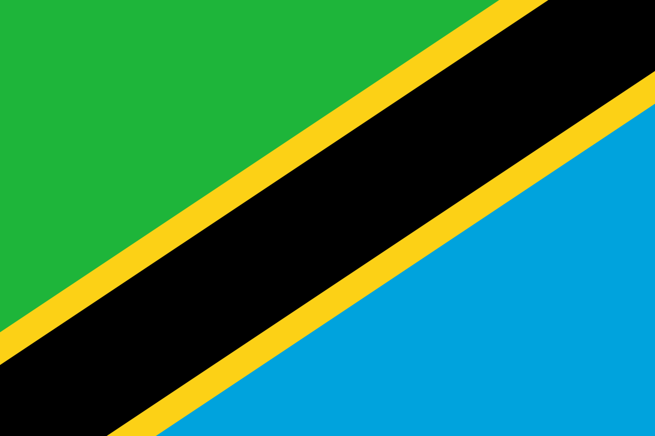 Tanzania National Flag - Sewn image 0