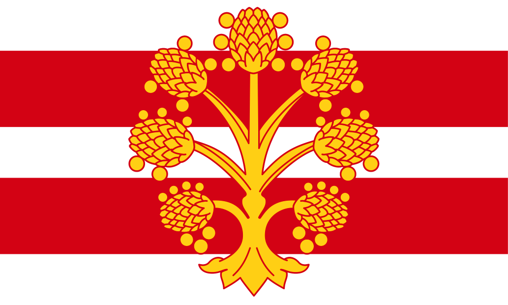 Westmorland County Flag - Printed image 0