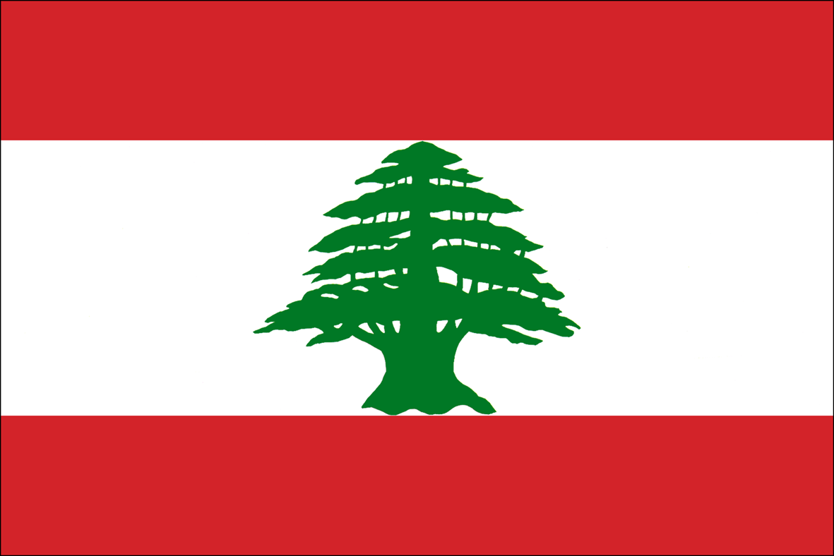 Lebanon National Flag - Sewn image 0