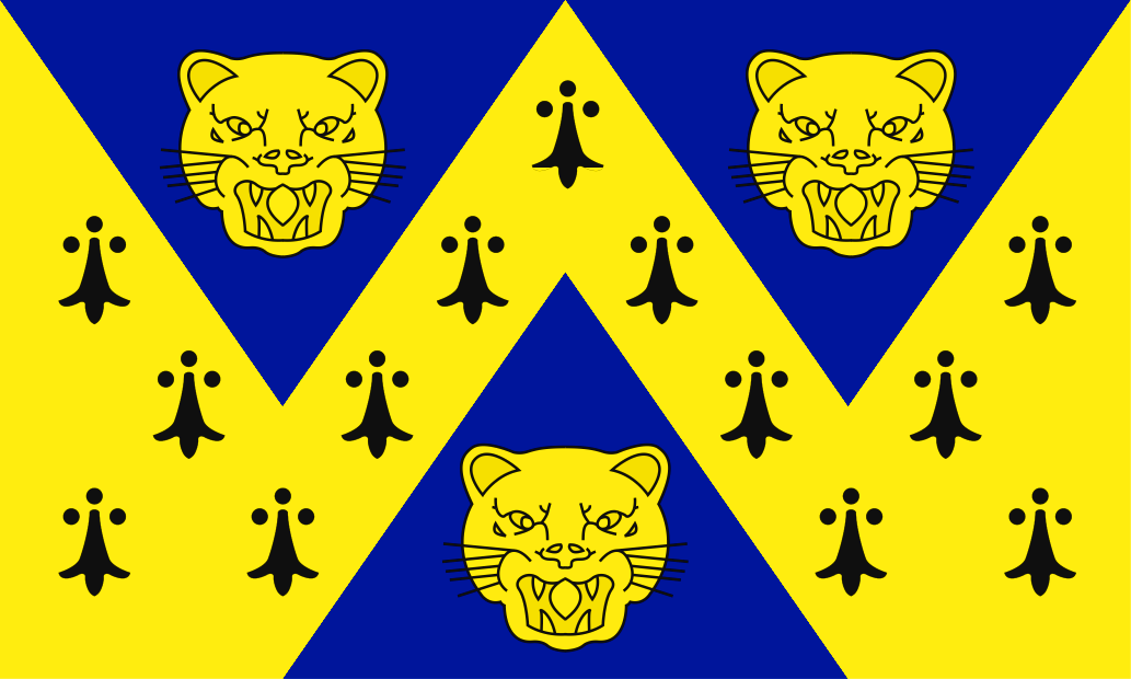 Shropshire County Flag - Printed image 0