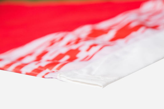 Belarus National Flag