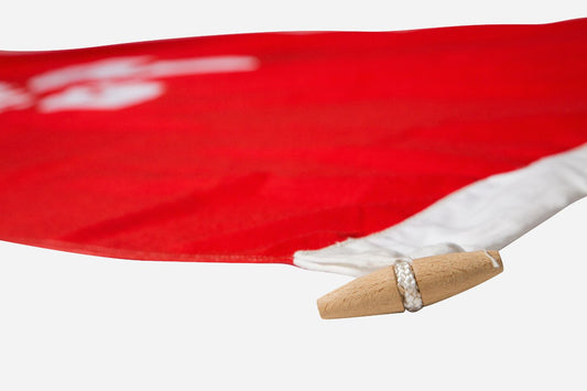 Hong Kong National Flag