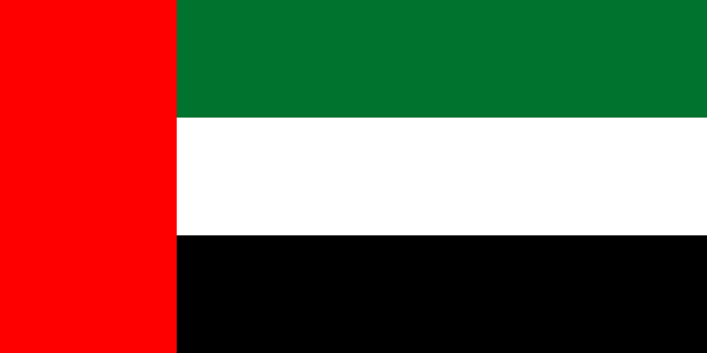 United Arab Emirates National Flag - Sewn image 0