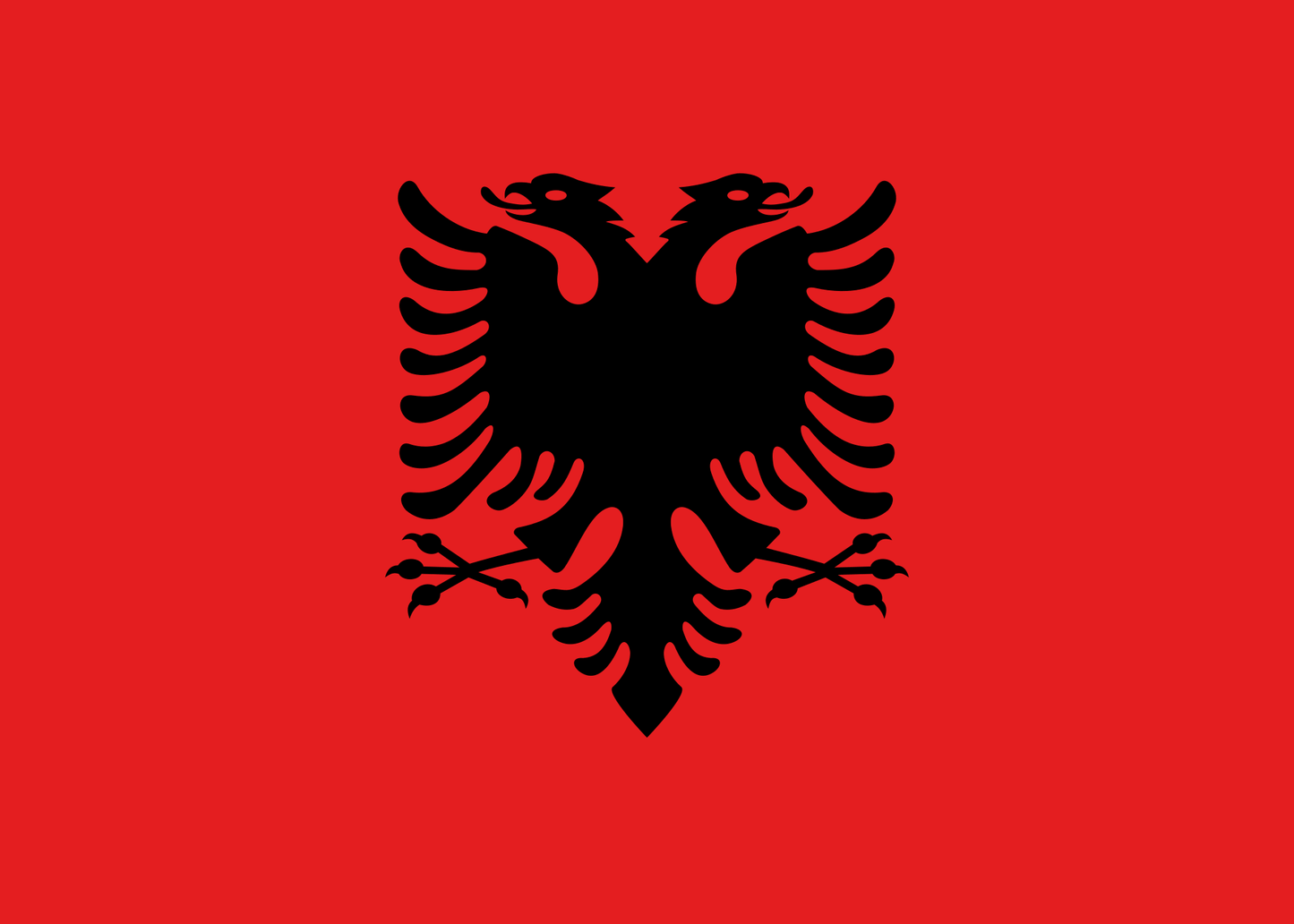 Albania National Flag - Sewn image 0