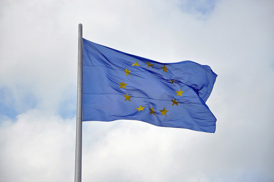 European Union Flag image 1