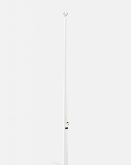 Flagpole only image 0