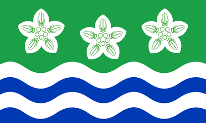 Cumberland County Flag - Printed image 0