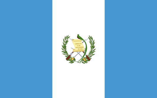 Guatemala national flag - Sewn image 0