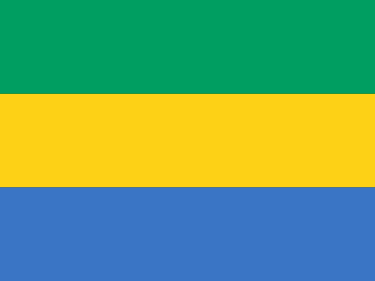Gabon National Flag - Sewn image 0