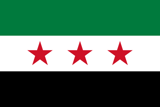 Syria National Flag - Sewn image 0