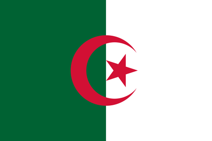 Algeria National Flag - Sewn image 0