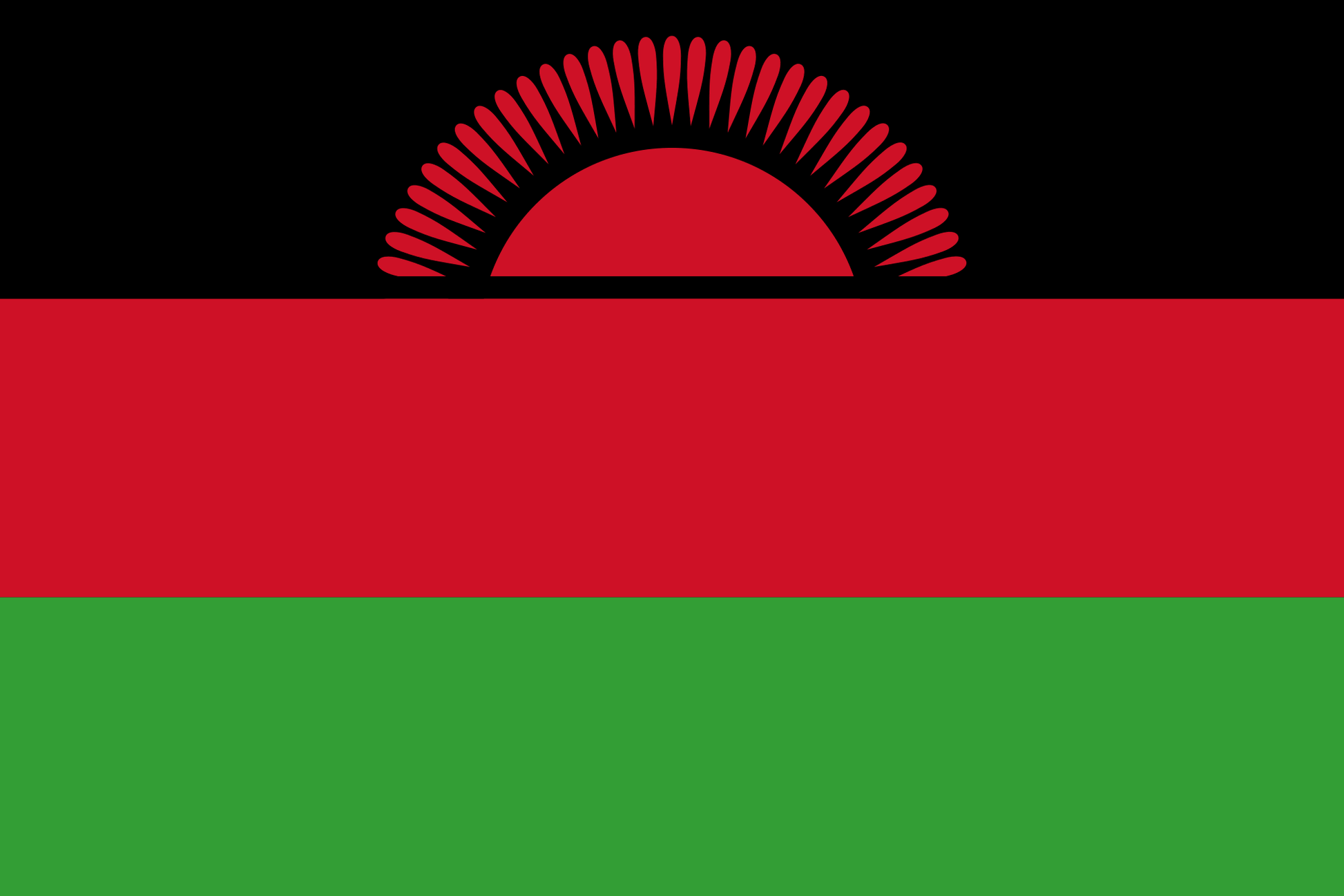 Malawi National Flag - Sewn image 0