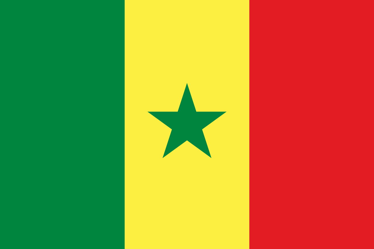 Senegal National Flag - Sewn image 0