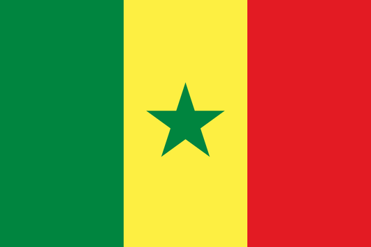 Senegal National Flag - Sewn image 0