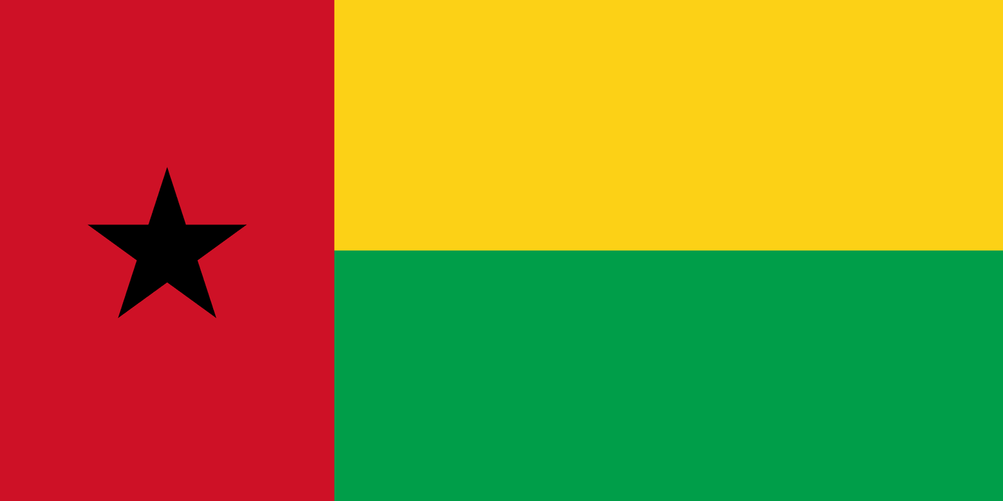 Guinea-Bissau National Flag - Sewn image 0