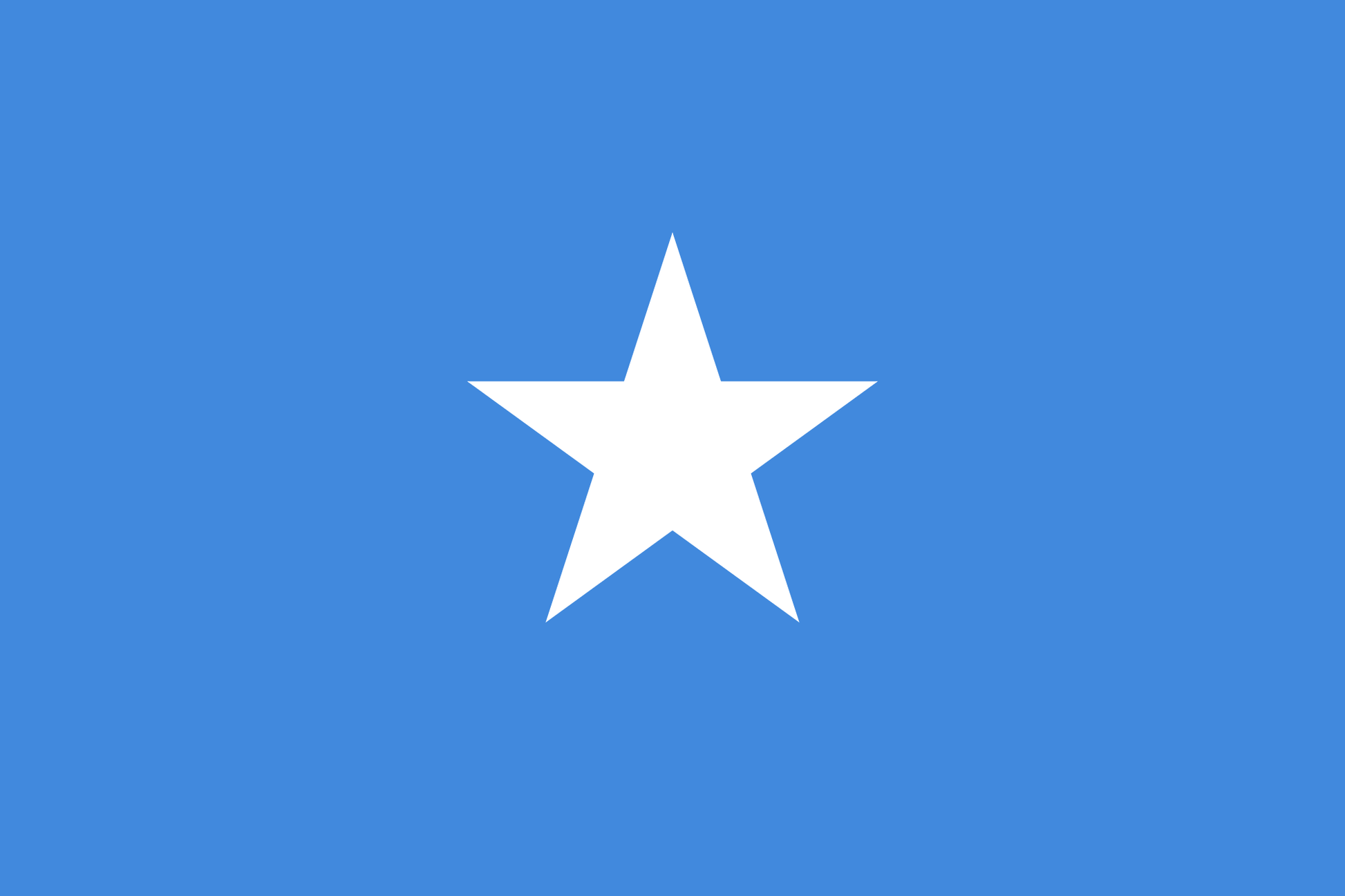 Somalia National Flag - Sewn image 0
