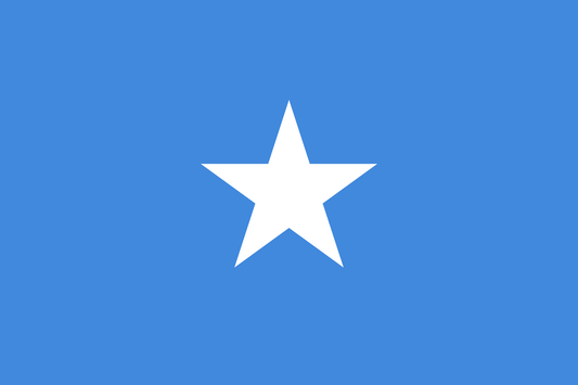 Somalia National Flag - Sewn image 0