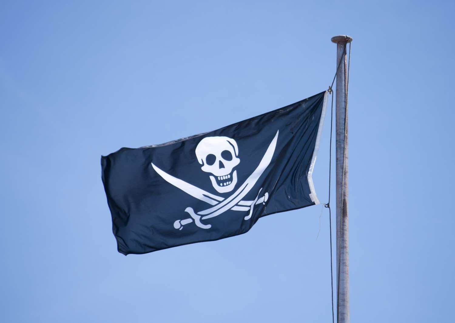 Jolly Roger Pirate Flag - Printed image 0