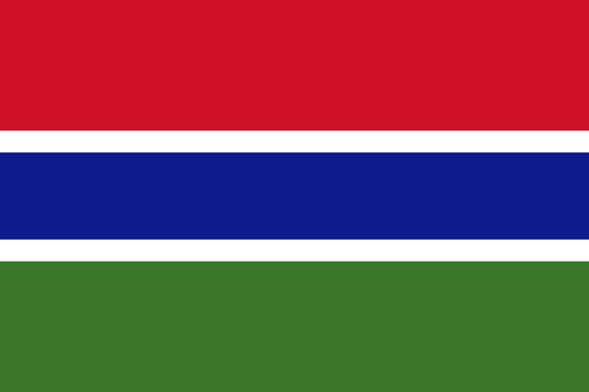 Gambia National Flag - Sewn image 0