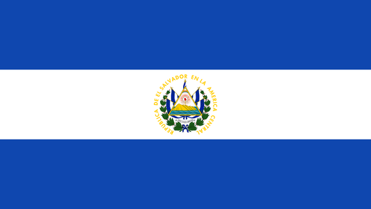 El Salvador  National Flag - Sewn image 0