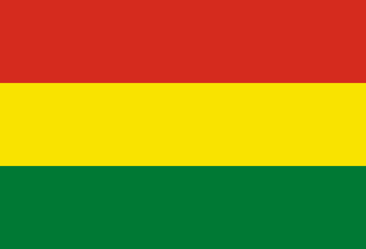 Bolivia National Flag - Sewn image 0