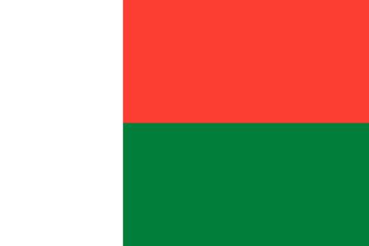 Madagascar National Flag - Sewn image 0