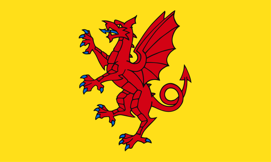 Somerset County Flag - Printed image 0