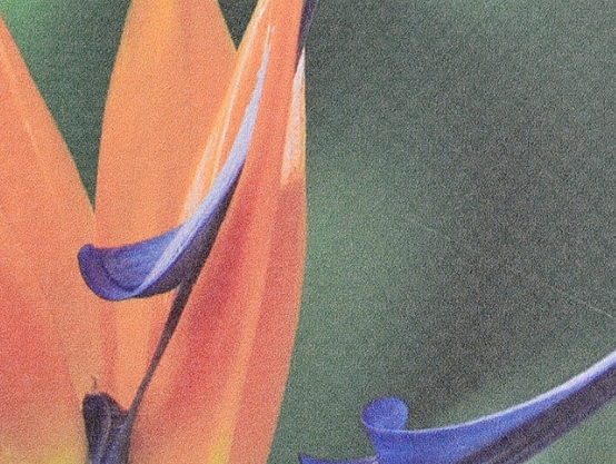 PVC Banner image 0