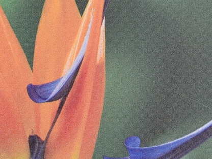 PVC Banner image 0