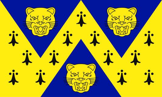 Shropshire County Flag - Printed image 0