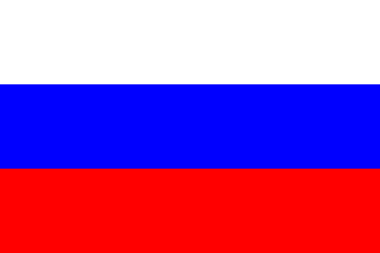 Russia National Flag - Sewn image 0