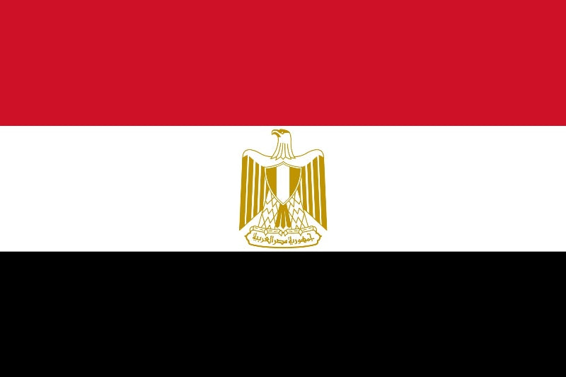 Egypt National Flag - Sewn image 0