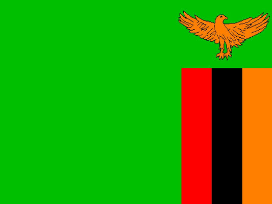 Zambia national flag - Sewn image 0