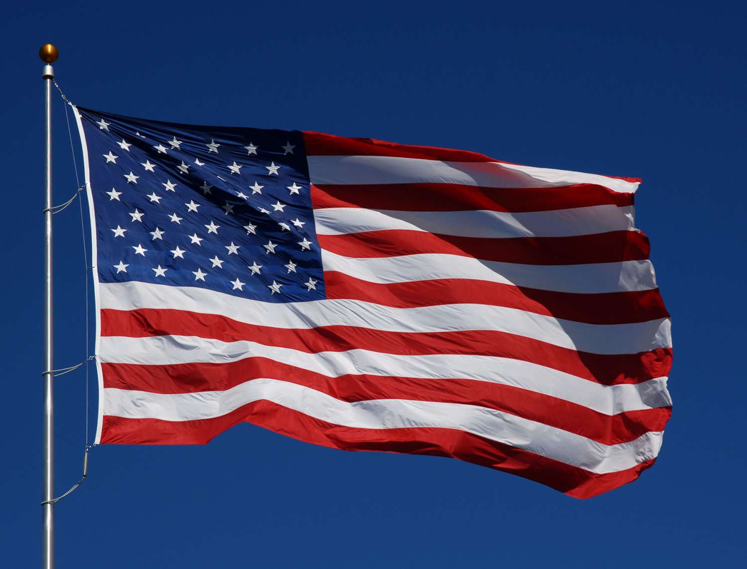 USA National American Flag - Printed image 1