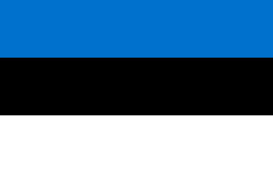 Estonia National Flag - Sewn image 0