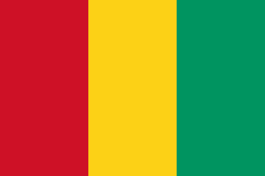 Guinea National Flag - Sewn image 0
