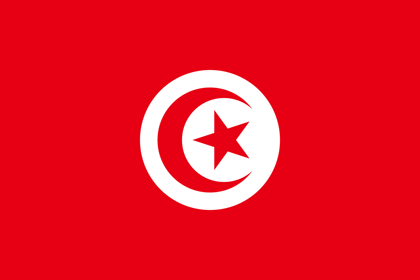 Tunisia National Flag - Sewn image 0