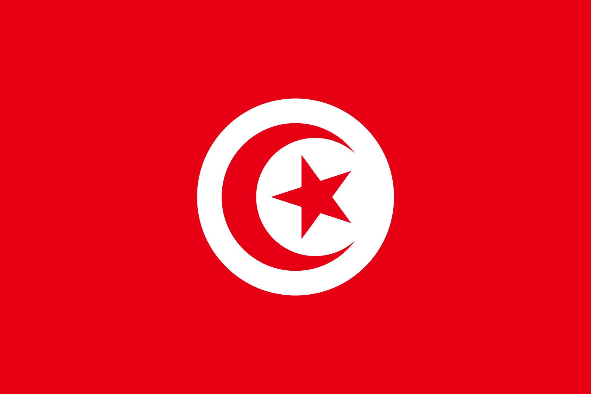 Tunisia National Flag - Sewn image 0