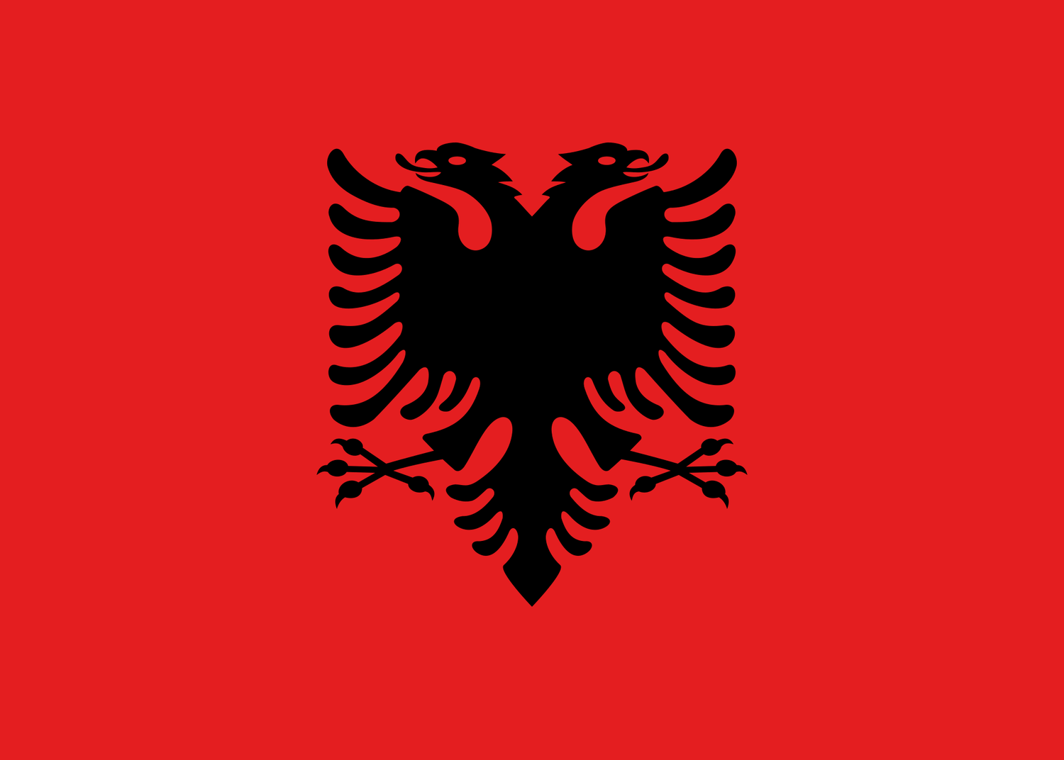 Albania National Flag - Sewn image 0