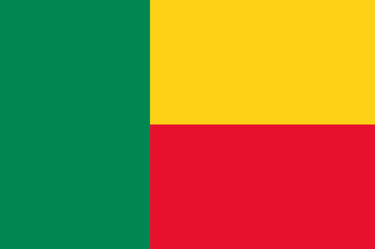 Benin National Flag - Sewn image 0