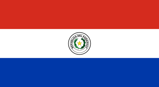 Paraguay national flag - Sewn image 0